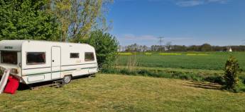 Minicamping de Pelikaan unter der Walnuss