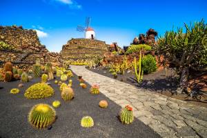 Cruise Canarische Eilanden & Madeira XL