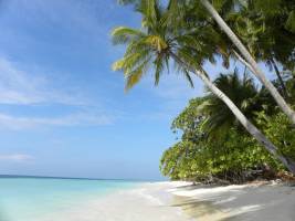 Vaali Maldives Island Escapes&Dive