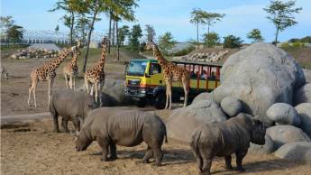 Fletcher Hotel-Restaurant by Zoo Emmen