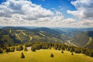 Rondreis Zwarte Woud - Bodensee - Alpen