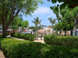 Camping Caballo de Mar