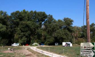 Reiterhof, eine Oase der Ruhe inmitten von Tieren...