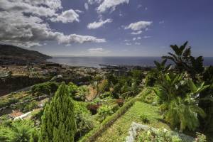 Quinta Funchal Gardens