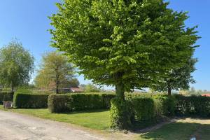 Camping L'Orée des Caps