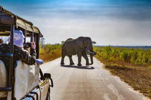 Nationaal Park Kruger, hotels en omgeving
