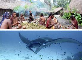 Rondreis 16 dagen Avontuurlijk Papua - Baliem vallei en duiken b