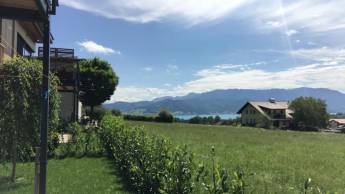 Campspace in Attersee