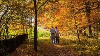 Hotel & Restaurant Wildthout