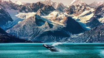 MSC Poesia - afvaart Seattle