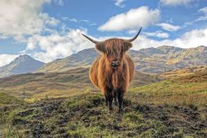 Schottland und Nord-England