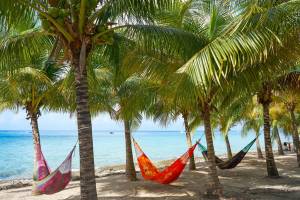 8 dg cruise West Caribische Zee Star of the Seas