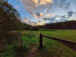 Jurte im Waldgebiet