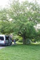 Notengaard van Kampen