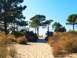 Camping Dolce Vita