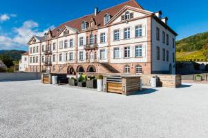 Val Vignes Haut Koenigsbourg The Originals Relais