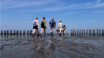 Hotel Waddengenot Pieterburen