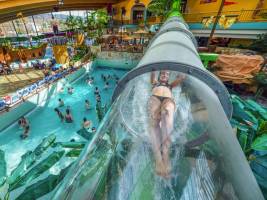 AquaMagis