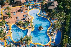 Flamingo Oasis