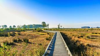 Hotel De Oringer Marke By Flow