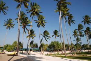 13 daagse safari The Mombasa Rendez Vous