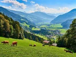 KOSIS Sports Lifestyle