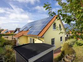 Windflüchter rechts