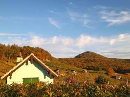 Übernachten mit Blick zum Weinberg