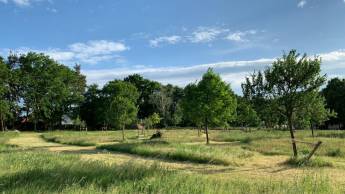 Auszeit- & Genusswiese am Rande des Spreewald