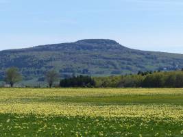 Domaine des Vans