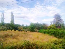 Ruhiger Campingplatz in einem Obstgarten, in der Nähe eines Flus