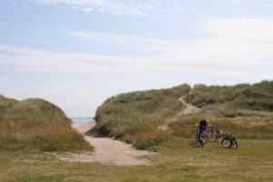 Skagen Sydstrand Camping-Bunken