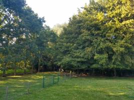 Campingplatz in Menen, Westflandern