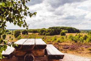 Roompot Bospark De Schaapskooi