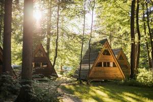 Forest Camping Mozirje