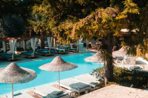 Casa Trees Boutique Hotel