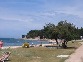 Camping Pineta