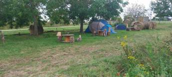 Ein natürliches Gehirn