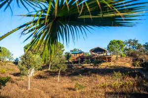 Eine Oase inmitten der Landschaft und doch nahe der Küste von Vi