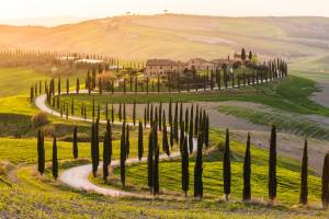 Rondreis Toscane - vanuit Fattoria degli Usignoli