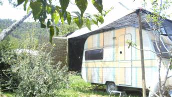 Bambusgarten