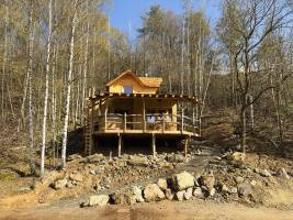 Tree House 5 met hottub