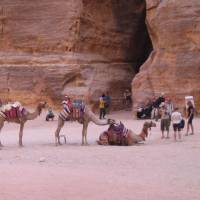 Individuelle Rundreise: Felsenstadt Petra & Wadi Rum
