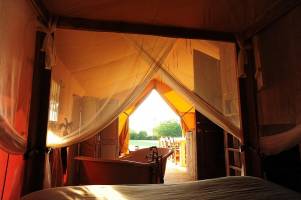 Ein afrikanisches Safari-Erlebnis in Burgund