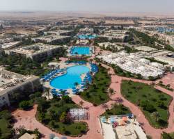 Desert Rose