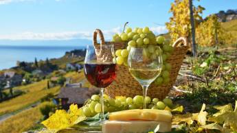 Rondreis langs de Zuid-Tiroolse Wijnroute & het Gardameer