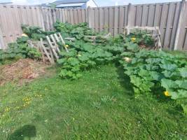 Campingplatz in Eede, Zeeland