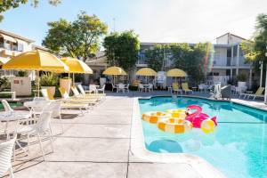 Wild Palms, a JdV by Hyatt Hotel