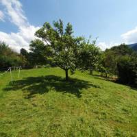 Wälder und Berge