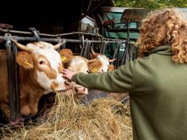 BIO Wiesenstellplatz Organic